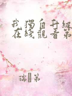 我独自升级动漫在线观看第二季