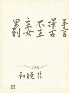 男主不择手段得到女主古言