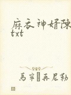 麻衣神婿陈黄皮txt