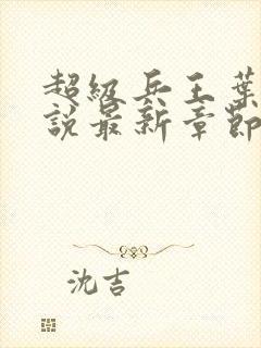 超级兵王叶谦小说最新章节