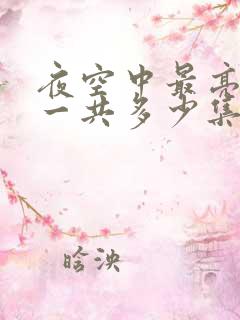 夜空中最亮的星一共多少集