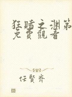 狂赌之渊第三季免费观看