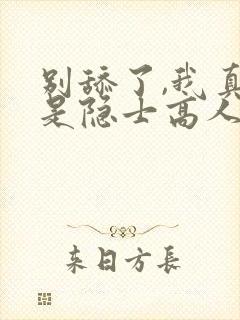 别舔了,我真不是隐士高人