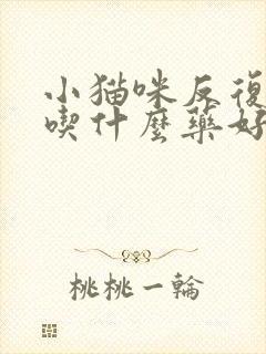 小猫咪反复尿闭吃什么药好