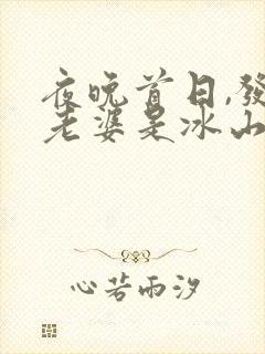 夜晚首日,发现老婆是冰山女总裁小说