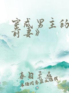 穿成男主的炮灰前妻》