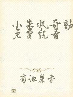 小朱佩奇动画片免费观看