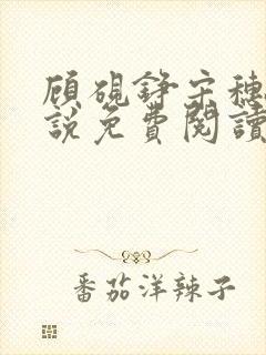 顾砚铮宋穗宁小说免费阅读最新章节