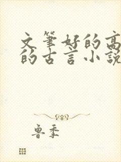 文笔好的高质量的古言小说