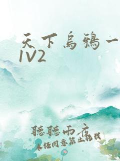 天下乌鸦一般黑1V2