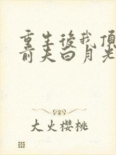 重生后我顶替了前夫白月光l小说