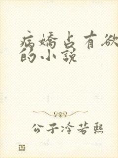 病娇占有欲很强的小说