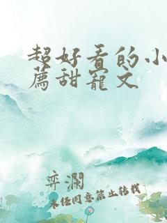 超好看的小说推荐甜宠文