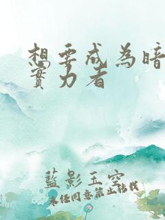 想要成为暗之影实力者