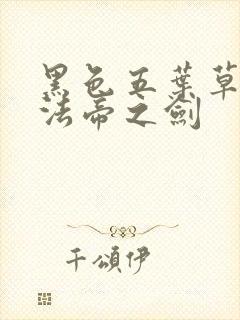 黑色五叶草之魔法帝之剑