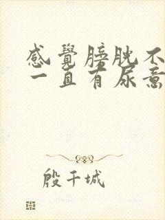 感觉膀胱不舒服一直有尿意怎么办