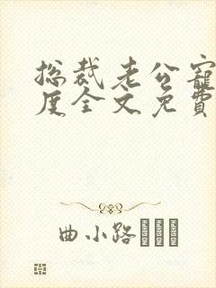 总裁老公宠妻无度全文免费阅读