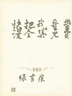 快把我哥带走动漫全集免费