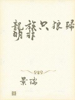 龙族只狼归来路明非