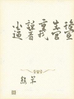 小说重生后影帝逼着我官宣