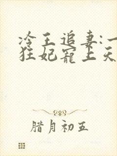 冷王追妻:一品狂妃宠上天