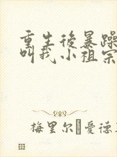 重生后暴躁大佬叫我小祖宗下载全本txt