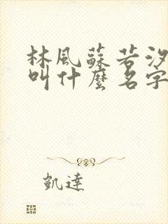 林风苏若汐小说叫什么名字