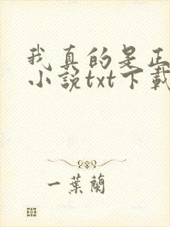 我真的是正派 小说txt下载