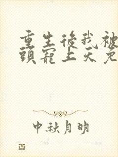 重生后我被死对头宠上天免费阅读