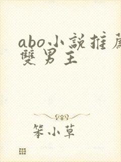 abo小说推荐双男主