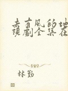 去有风的地方电视剧全集在线免费