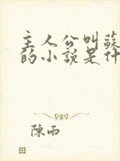 主人公叫苏软软的小说是什么名字