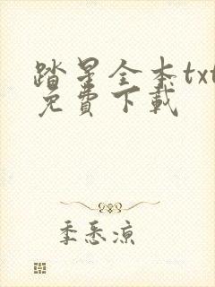 踏星全本txt免费下载