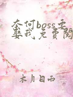 奈何boss要娶我免费阅读全