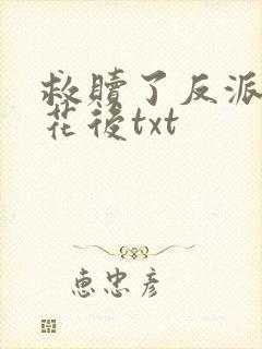 救赎了反派黑莲花后txt