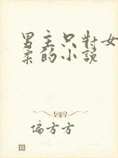 男主只对女主温柔的小说