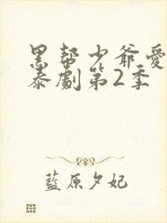 黑帮少爷爱上我泰剧第2季