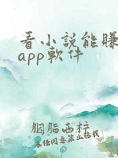 看小说能赚钱的app软件