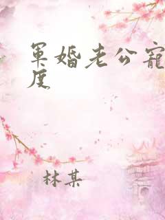 军婚老公宠妻无度