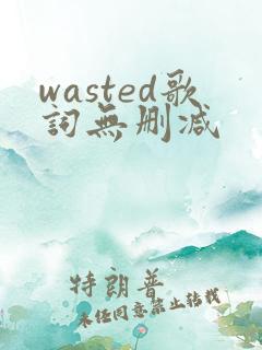 wasted歌词无删减