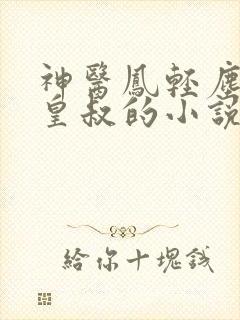 神医凤轻尘与九皇叔的小说