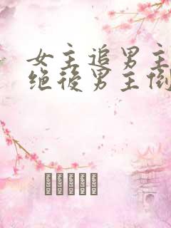 女主追男主被拒绝后男主倒追的小说