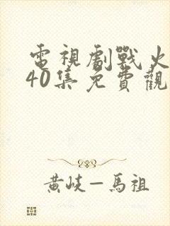 电视剧战火红颜40集免费观看