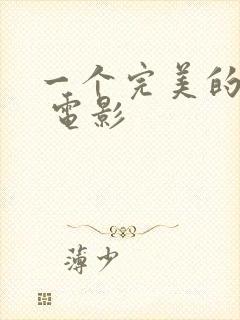 一个完美的结局 电影