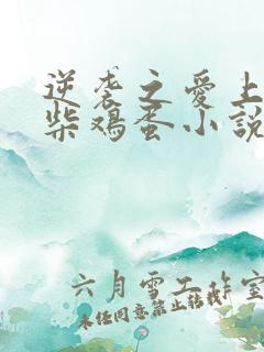 逆袭之爱上情敌柴鸡蛋小说免费全文下载