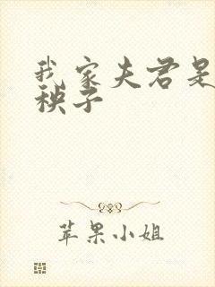 我家夫君是个病秧子