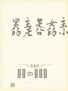 男主是女主姐姐的老公的小说