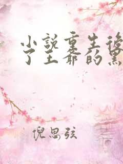 小说重生后我成了王爷的黑月光1