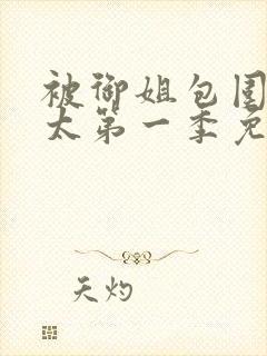 被御姐包围的正太第一季免费播放全集