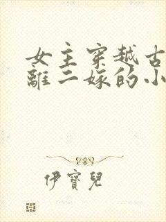 女主穿越古代和离二嫁的小说